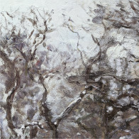 Sniegs Luvsjēnā - Kamils Pisaro