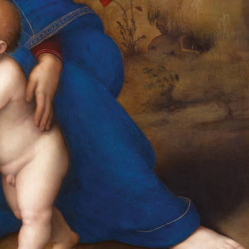 Madonna Pļavā - Rafaēls