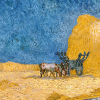 Snauda - Vinsents van Gogs